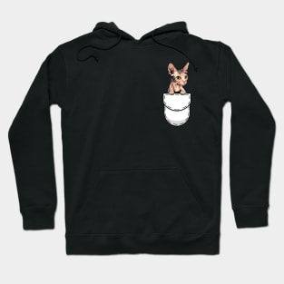 Funny Sphynx Pocket Cat Hoodie